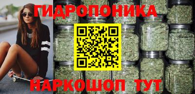 гашик Ирбит