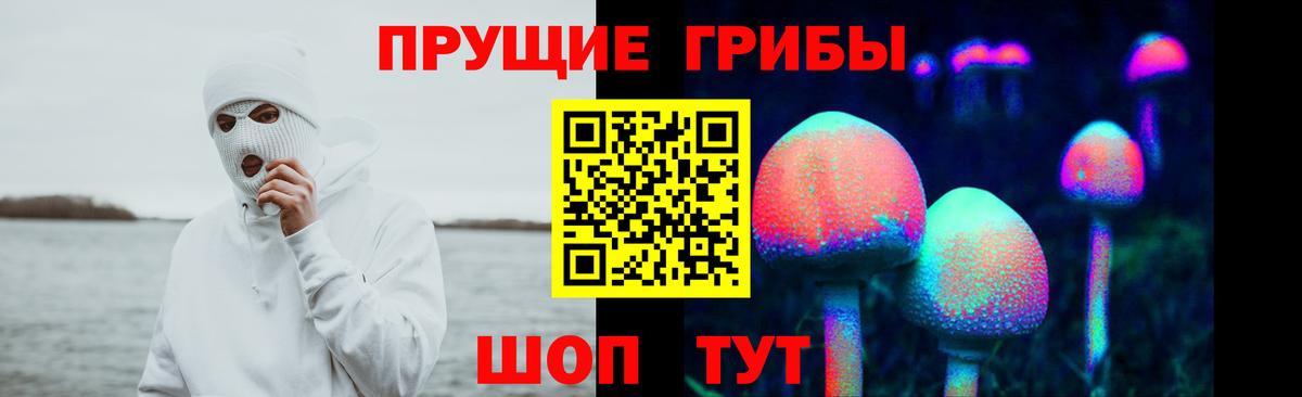 Галлюциногенные грибы Psilocybine cubensis Лыткарино